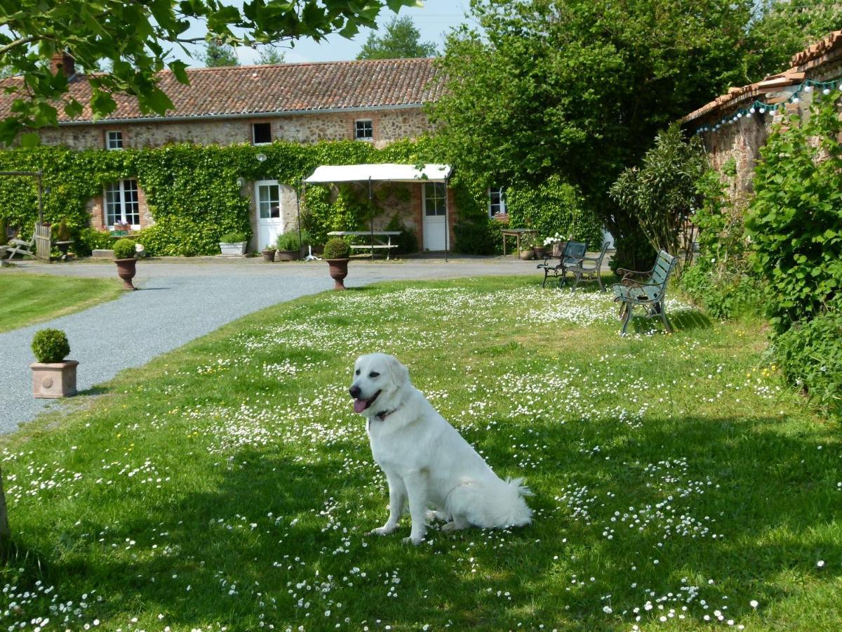 Gites De L'Etang Des Noues Cholet Exteriör bild