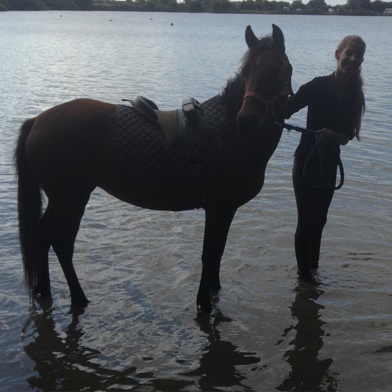 Gites De L'Etang Des Noues Cholet Exteriör bild